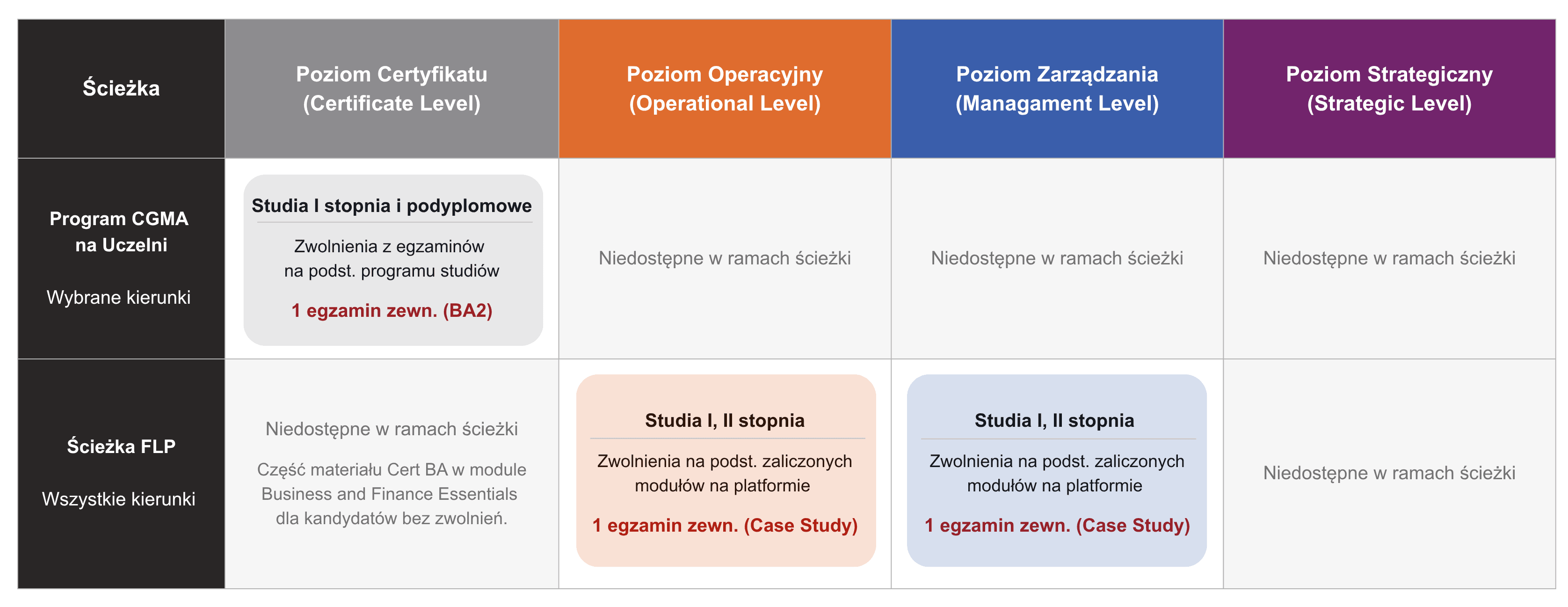 Matrix Program CGMA na Uczelni PL v5.png